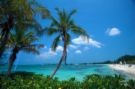 Picture for song 'Coral Reefs' by artist 'Rex Reynolds'