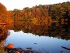 Picture for song 'Indian Summer' by artist 'Rex Reynolds'