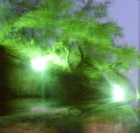 Picture for song 'too many' by artist 'rey valdez'