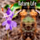 Picture for song 'Nature Life' by artist 'Rhythm of Mankind and Nature'