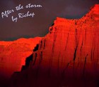 Picture for song 'AFTER THE STORM' by artist 'Richap'