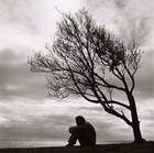 Picture for song 'Loves Lament' by artist 'Riley uk'