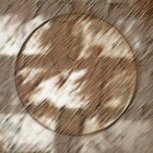 Picture for song 'November Blues' by artist 'Rinaldo'