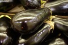 Picture for song 'Eggplant' by artist 'robert paul'