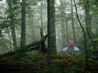 Picture for song 'I Love Campin' (2007)' by artist 'Robin And The Giant'