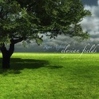 Picture for song 'I'll Wait For You' by artist 'Ryan Axford'