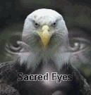 Picture for song 'scratch Session 1:20' by artist 'Sacred Eyes'