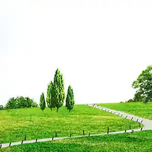 Picture for song 'Israel Peace Jerusalem Peace Israel' by artist 'Sakamoto Taiki'