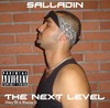 Picture for song 'In The Streets' by artist 'Salladin'
