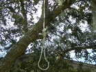 Picture for song 'The Gallows Will Be Done' by artist 'Sawyer Creek'