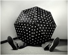 Picture for song 'unbrella' by artist 'S-B-F Sweet bad Fighters'