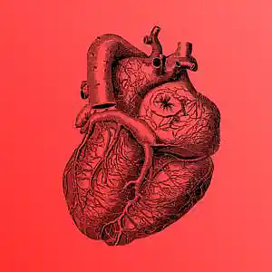 Picture for song 'HeartBreak' by artist 'ScarySoundBeatz'