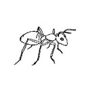 Picture for song 'IMAGINARY FRIEND (live)' by artist 'SCHOLASTICBAND'