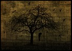 Picture for song 'RWC_tematski.turnir2007_3.krog' by artist 'scrach'