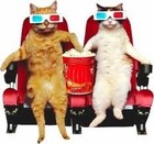 Picture for song 'MOVIE TIME' by artist 'SEAN CHRIST'