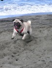 Picture for song 'PLAYING WITH THE SAND' by artist 'SEAN CHRIST'