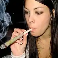 Picture for song 'POTHEAD GIRL' by artist 'SEAN CHRIST'