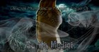 Picture for song 'Koolin' (Free DL)' by artist 'Serita Medici'