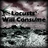 Picture for song 'Locusts Will Consume' by artist 'Shadows Play Tag In The Sky'