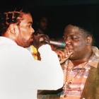 Picture for song 'WTF!! W/Biggie & Method Man Hook' by artist 'SHALEEKBEATS'