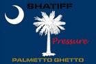 Picture for song 'Put It Down' by artist 'SHATiFF'