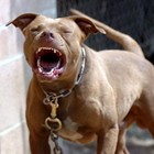 Picture for song ''Til The End' by artist 'Shiftyproduction'