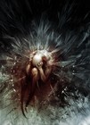 Picture for song 'Symphony nr 1 D minor (Lizard) Overture' by artist 'Signum Temporis'