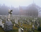 Picture for song 'Angel of Death (Requiem Remix)' by artist 'siniztarproductions'