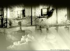Picture for song 'O'boy' by artist 'Slav de Hren'