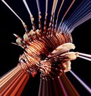 Picture for song 'I Dropped Something In A Canal In Kerala' by artist 'Slave Rebellion'