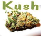Picture for song 'Kush (Leasing or Exclusive)' by artist 'SmokeProductionBeats'