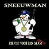 Picture for song 'Sneeuwman' by artist 'Sneeuwman'