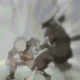 Picture for song 'Naruto, Need to be Strong' by artist 'Sonic Beats'