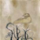 Picture for song 'Lovely Used to be a Good Thing' by artist 'SonicVibe'