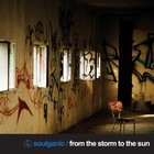 Picture for song 'Let Me Go' by artist 'Soulganic'