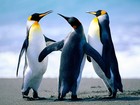 Picture for song 'March Forward' by artist 'Soundscapes Chicago'