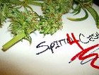 Picture for song '(hip hop) INAUG. PARTY 2009' by artist 'Spittn4Cash'