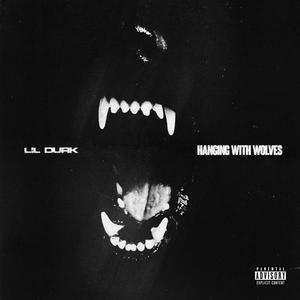 Picture for song 'Lil Durk - Hanging With Wolves' by artist 'SpoonBeats'