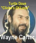 Picture for song 'TURTLE DOVE - 'Cliché’s Of Love' - Wayne Carter' by artist 'Spud Martin sample'