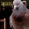 Picture for song 'Pan (Birdz Mix)' by artist 'Starstika'