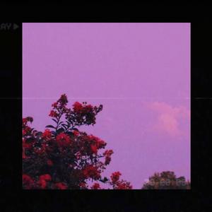 Picture for song 'Ukulele Lofi Type Beat- No Love' by artist 'Stc Beats VB'
