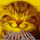 Picture for song 'Smile' by artist 'Stereo2tape'