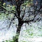 Picture for song 'Pixie' by artist 'Steve Bedford'