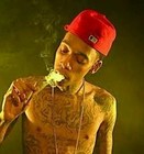 Picture for song 'BLUE STONER WIZ KHALIFA TYPE' by artist 'supamariobeatz'