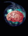 Picture for song 'Phantasm' by artist 'Superhuman'