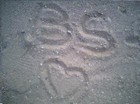 Picture for song 'M'n schatje' by artist 'SurIndo'