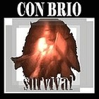 Picture for song 'I'll Be There' by artist 'Survival(NL)'