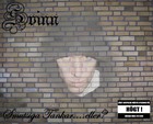 Picture for song 'Vad vill du höra?' by artist 'Svinn'