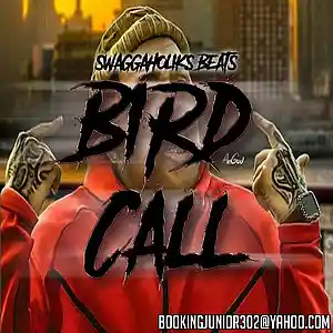 Picture for song '!!NEW!! Bird Call' by artist 'SWAGGAHOLIKS BEATS'