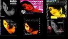 Picture for song 'BOSS bi***' by artist 'SYDNEY B'